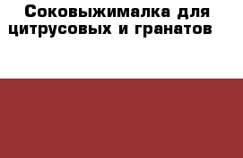 Соковыжималка для цитрусовых и гранатов Zumex-38 › Цена ­ 220 000 - Нижегородская обл. Бизнес » Оборудование   . Нижегородская обл.